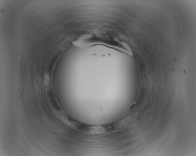 X0000065230087200603031724