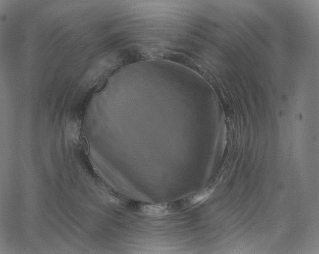 X0000065230139200603031723