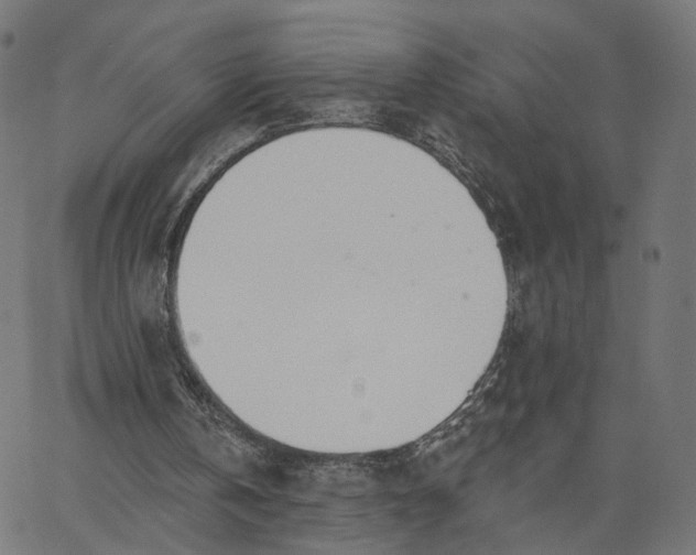 X0000065230146200603031722