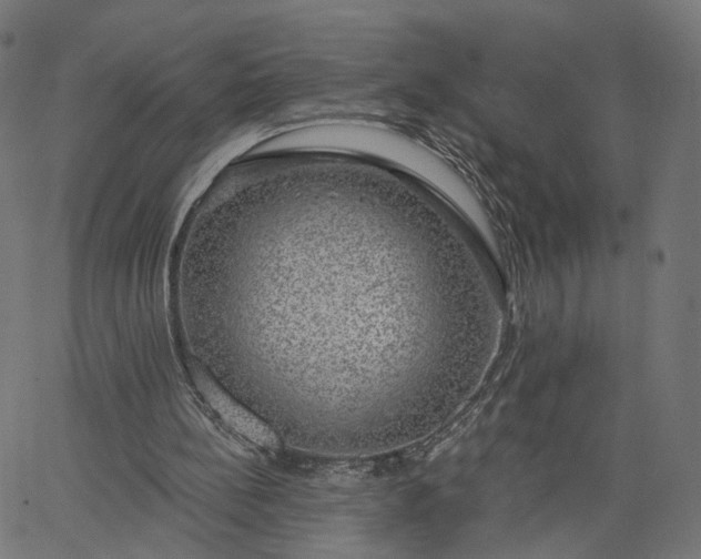 X0000065230148200603031722