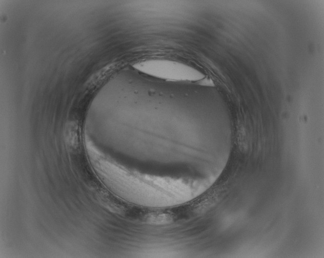 X0000065230169200603031722