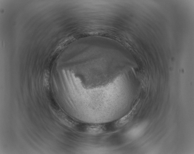 X0000065230175200603031722