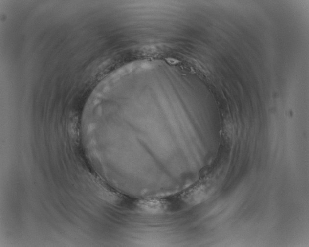 X0000065230181200603031722