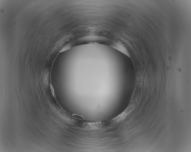 X0000065230188200603031722
