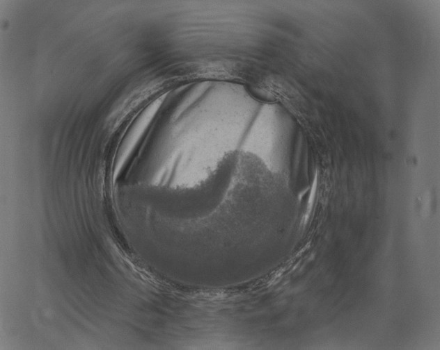 X0000065230194200603031722