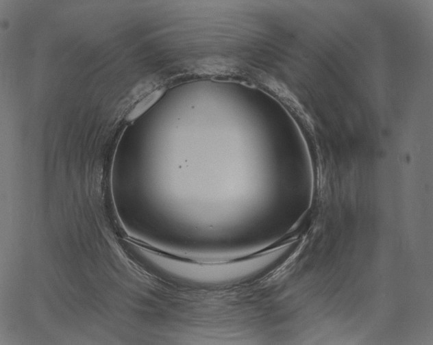 X0000065230201200603031722