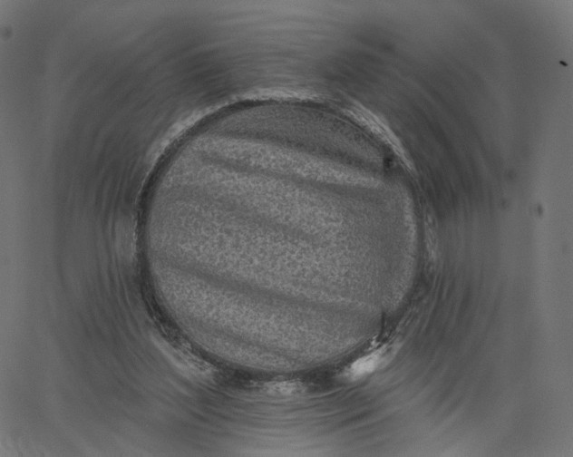 X0000065230204200603031722