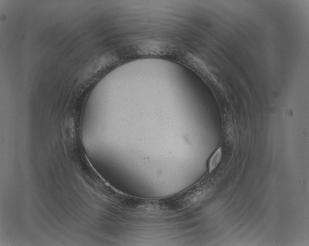X0000065230211200603031721