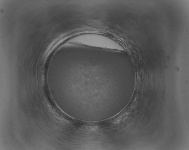 X0000065230247200603031720