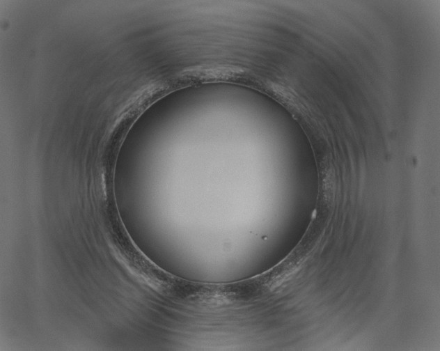 X0000065230254200603031720