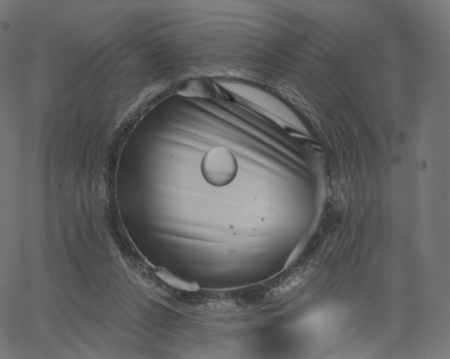X0000065230256200603031720