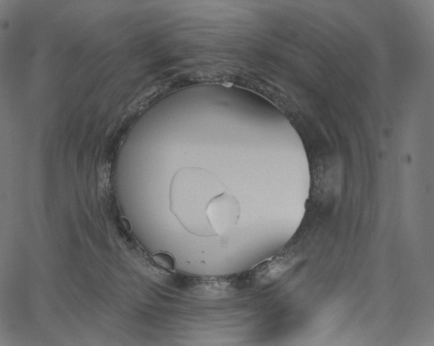 X0000065230278200603031721