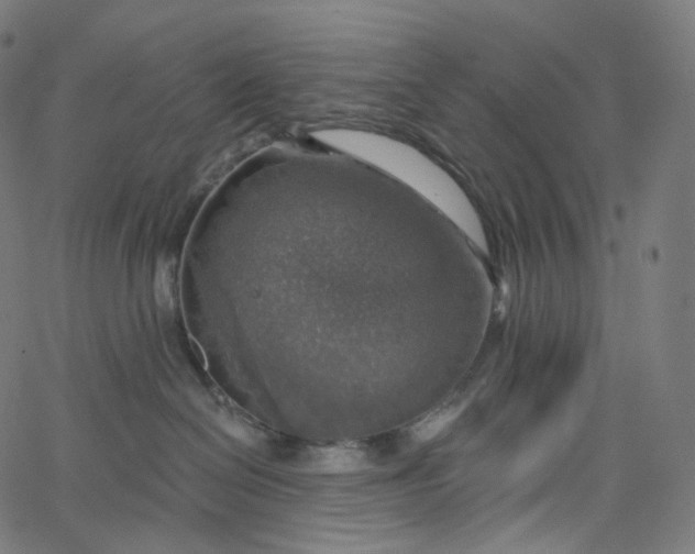 X0000065230286200603031721