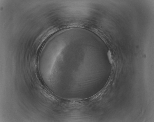 X0000065230290200603031720