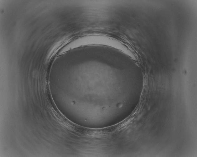 X0000065230293200603031720
