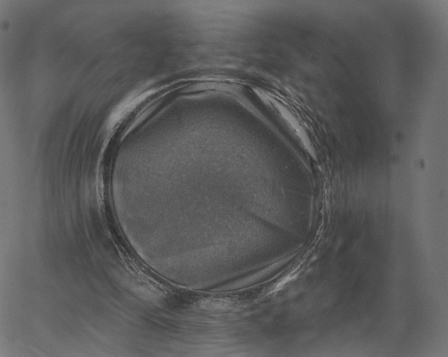X0000065230294200603031720