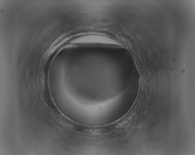 X0000065230295200603031720