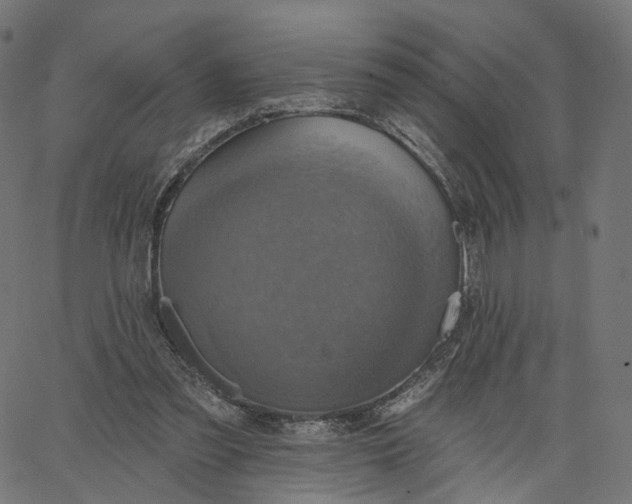 X0000065230301200603031720