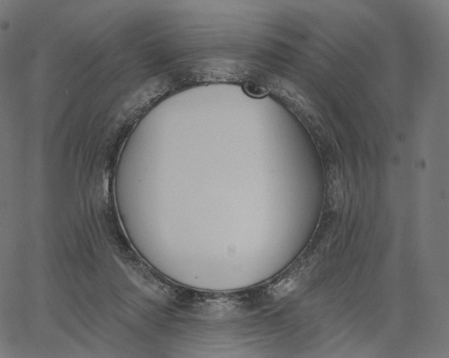 X0000065230310200603031720