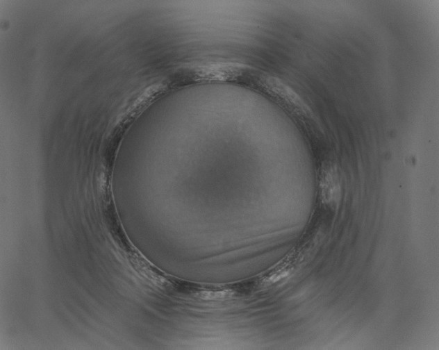 X0000065230314200603031720