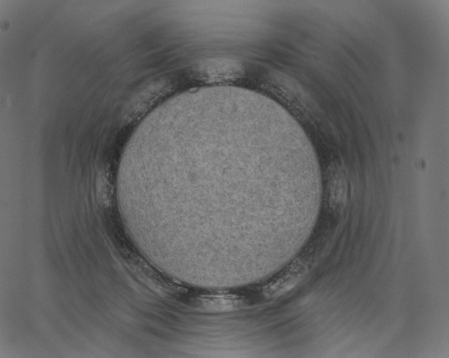 X0000065230316200603031720