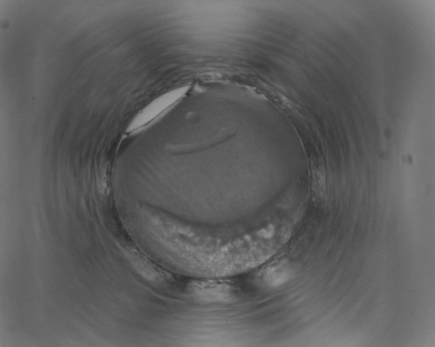 X0000065230331200603031719