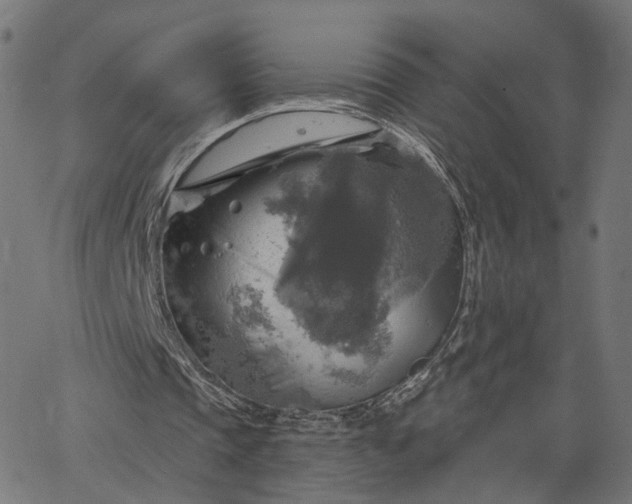X0000065230337200603031719