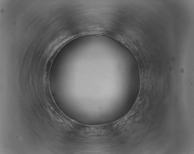 X0000065230338200603031719