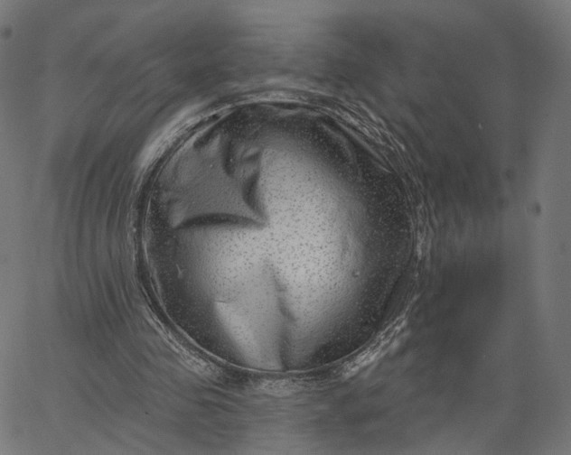 X0000065230341200603031719