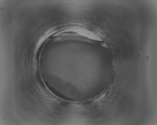 X0000065230343200603031719
