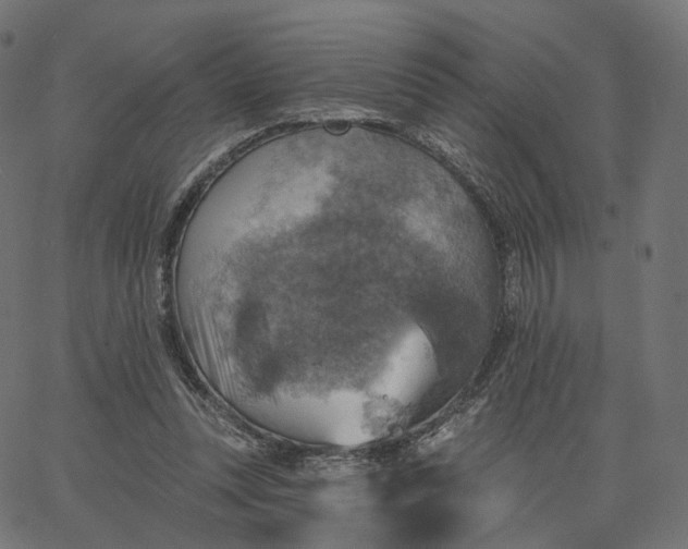 X0000065230351200603031719