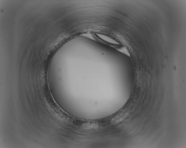 X0000065230354200603031719