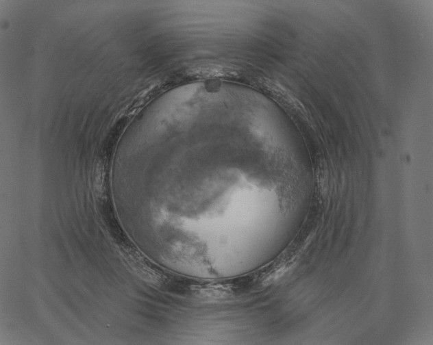 X0000065230359200603031719