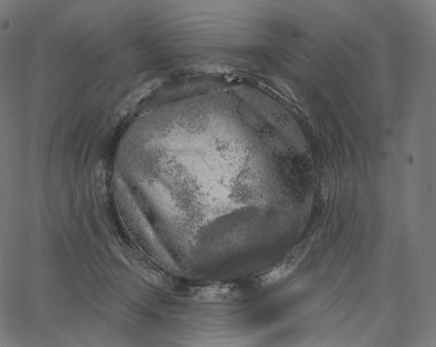 X0000065230366200603031719