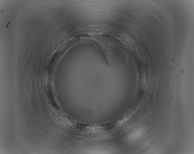 X0000065230367200603031719