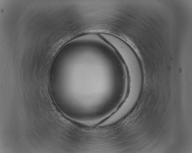 X0000065230385200603031719