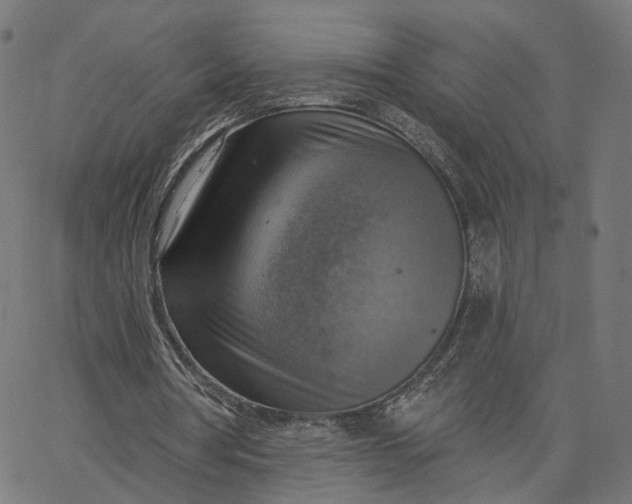 X0000065230386200603031719