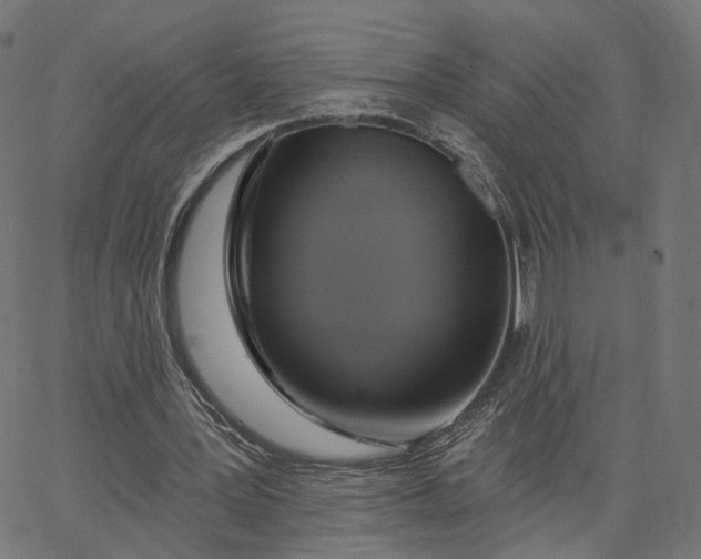 X0000065230387200603031719
