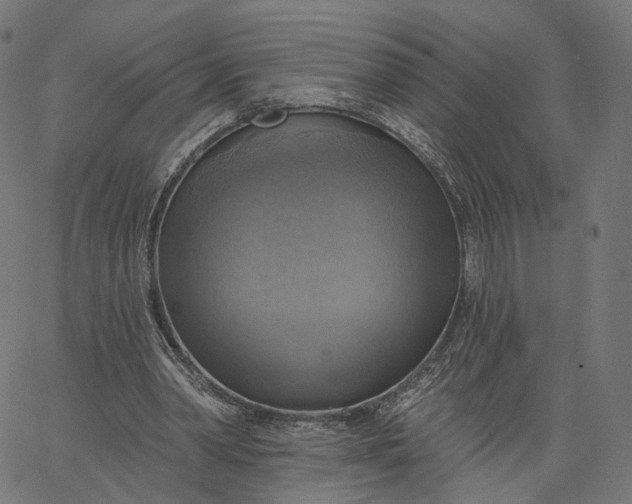 X0000065230390200603031718