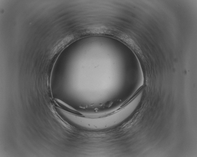 X0000065230397200603031718