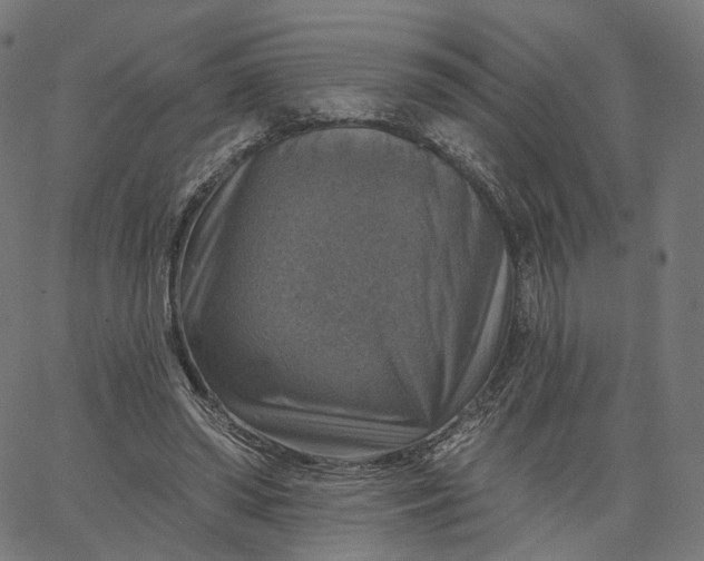 X0000065230398200603031718