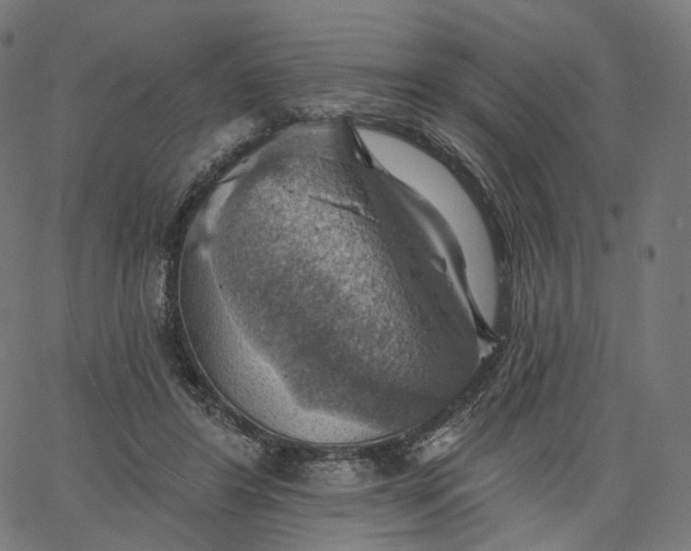 X0000065230404200603031718