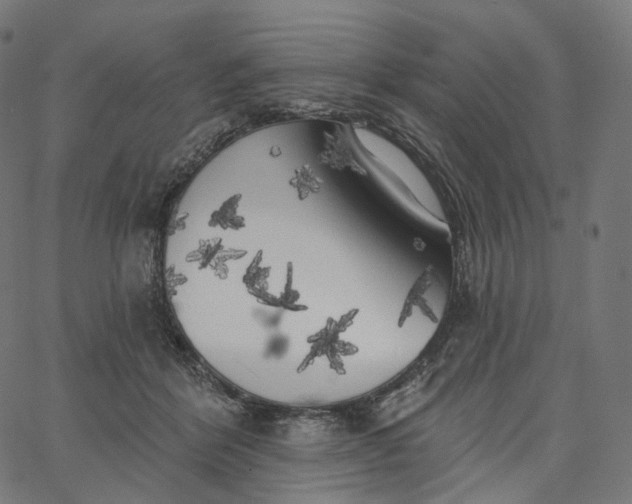 X0000065230412200603031718