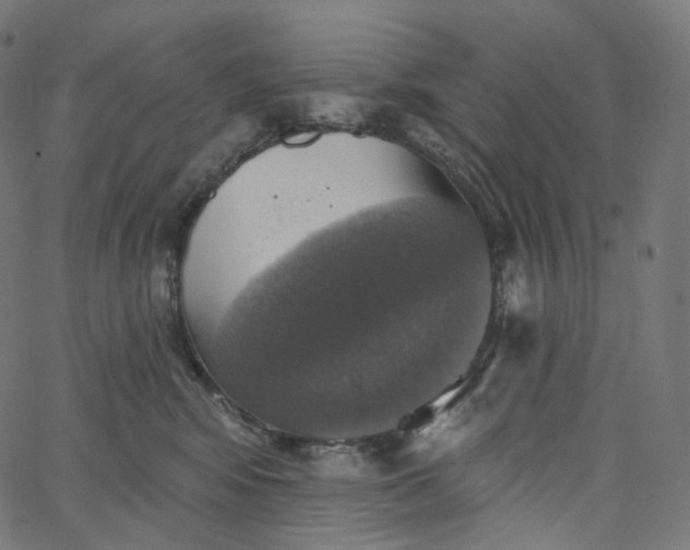 X0000065230424200603031718