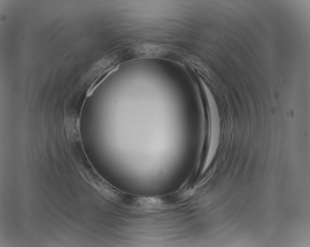 X0000065230429200603031718