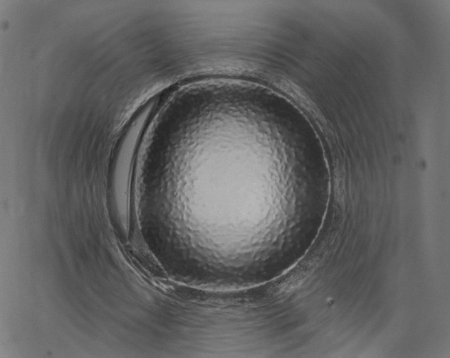 X0000065230434200603031717