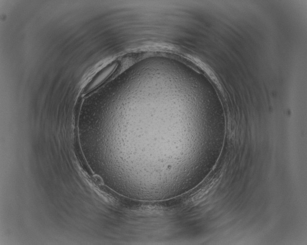 X0000065230437200603031717