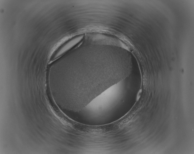 X0000065230438200603031717
