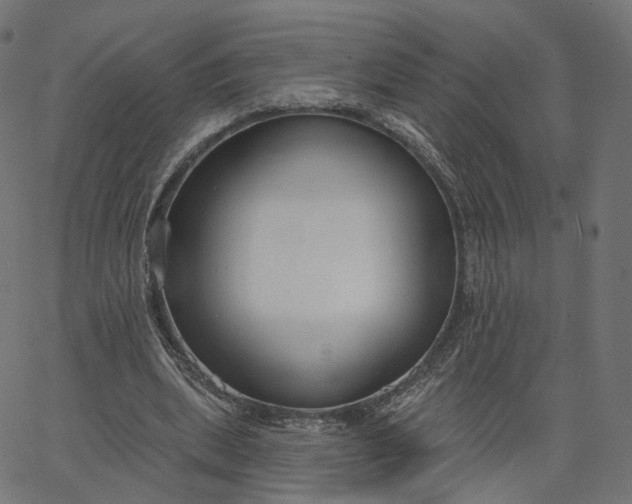 X0000065230439200603031717