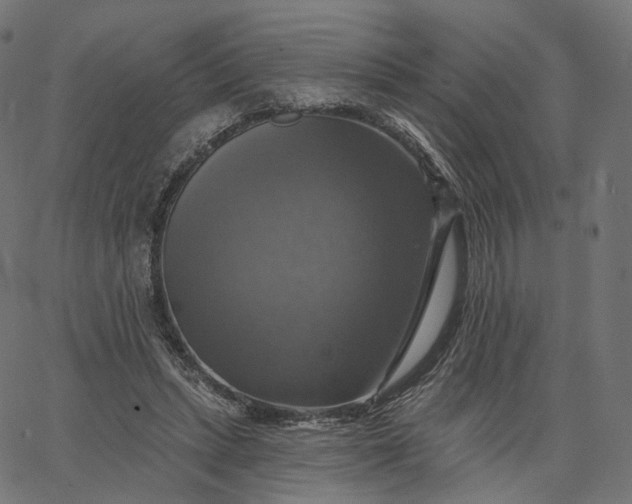 X0000065230447200603031717